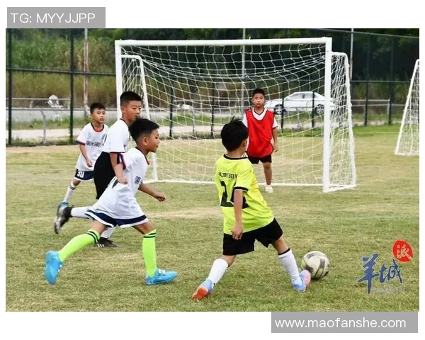 潮州足球明星盘点潮州籍球员在国内外赛场的辉煌成就与影响力 潮州足球明星盘点潮州籍球员在国内外赛场的辉煌成就与影响力