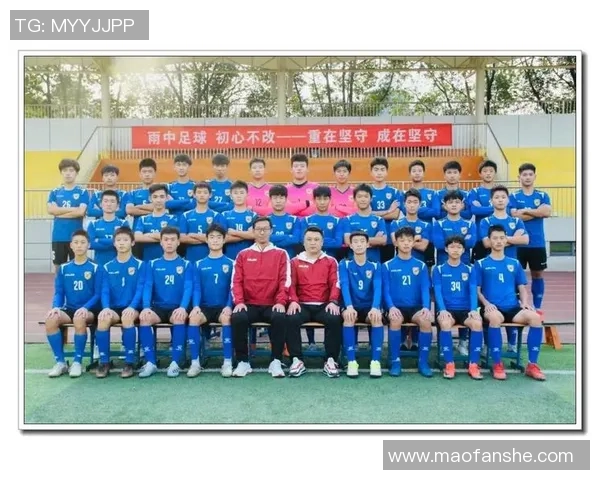 泊头市足球明星的崛起与成就探讨及其对地方足球发展的影响