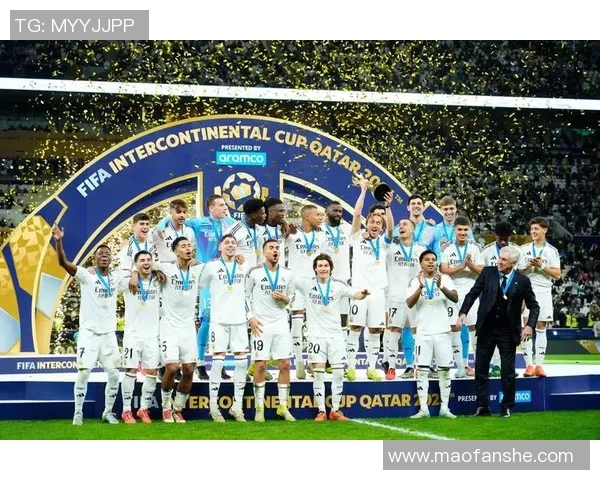 全球足球巨星的职业生涯与成就全景解析