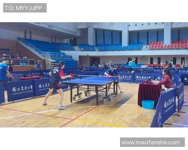 南京乒乓球队技术对比深度剖析与发展趋势探讨