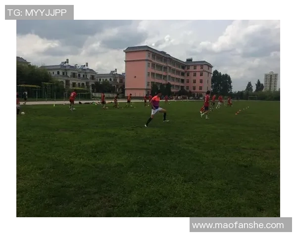 杭州足球队转型纪实：从传统到现代的奋斗与蜕变之路