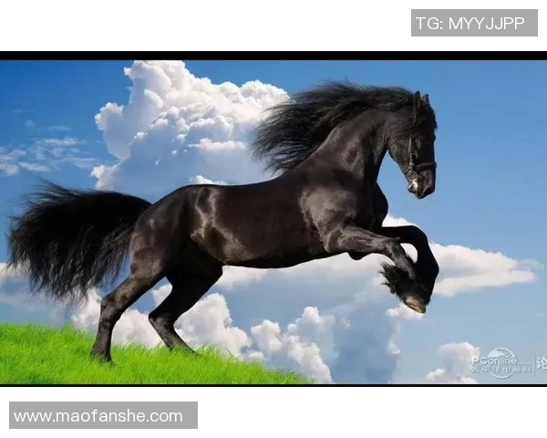 欧文现状揭秘：从足球明星到生活新篇章的转变与挑战