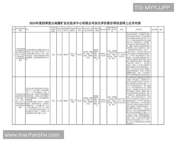 武汉羽毛球队在亚运会上的技术表现分析与点评