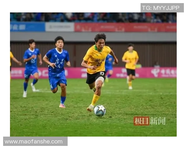 武汉足球队实力强劲荣登全国足球力量排行榜第四名