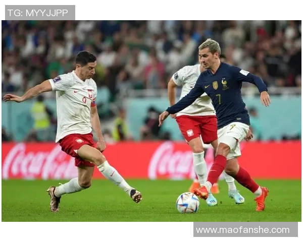 法国与波兰足球明星的传奇对决与友谊之路