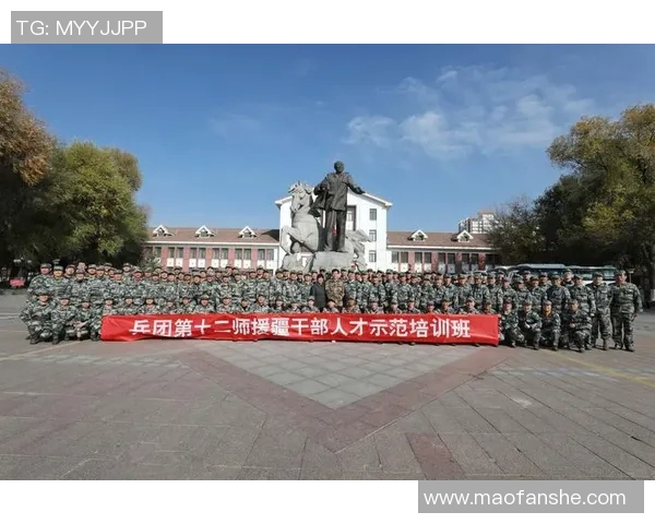 深圳足球队的奋进之路：从低谷到辉煌的纪实探索与反思