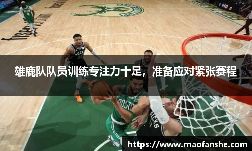 bellbet贝博艾弗森官方网站