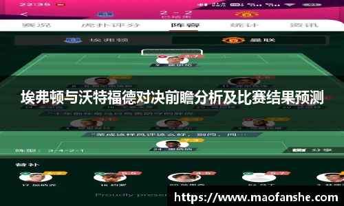 埃弗顿与沃特福德对决前瞻分析及比赛结果预测