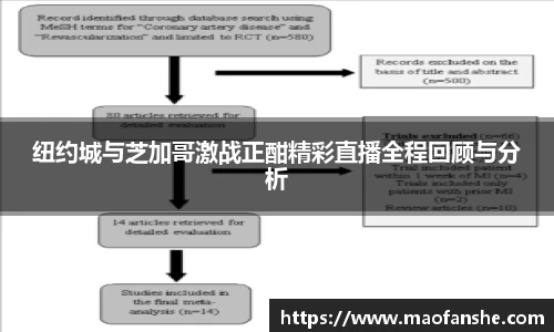 纽约城与芝加哥激战正酣精彩直播全程回顾与分析