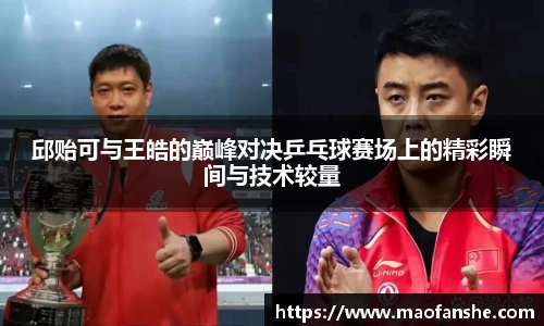 邱贻可与王皓的巅峰对决乒乓球赛场上的精彩瞬间与技术较量